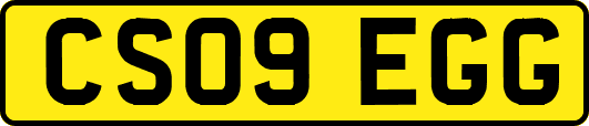 CS09EGG