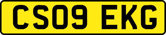 CS09EKG