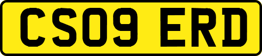 CS09ERD