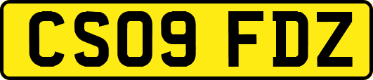 CS09FDZ