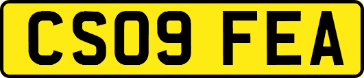 CS09FEA
