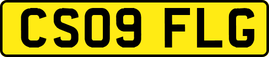 CS09FLG