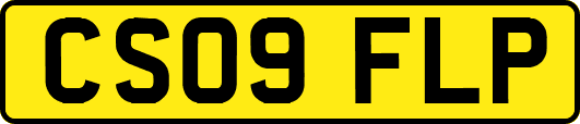CS09FLP