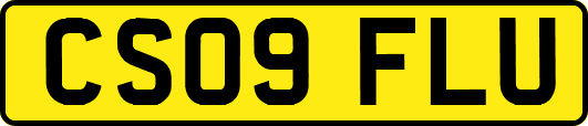 CS09FLU