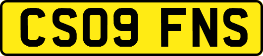 CS09FNS
