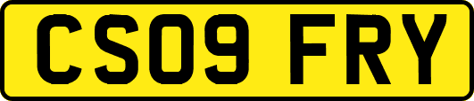 CS09FRY