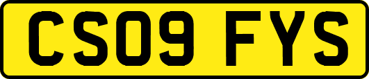 CS09FYS