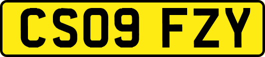 CS09FZY