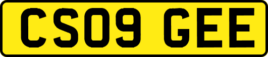 CS09GEE