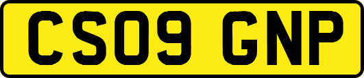 CS09GNP