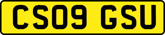 CS09GSU