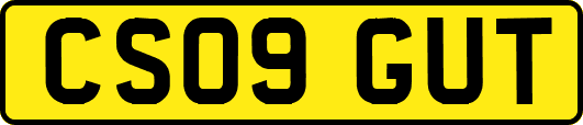 CS09GUT