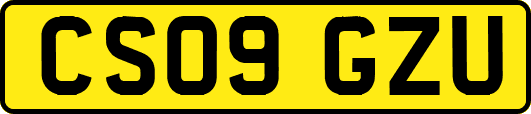CS09GZU