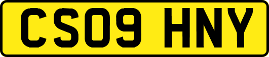 CS09HNY