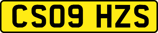 CS09HZS