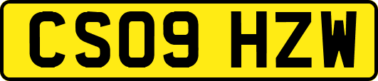 CS09HZW