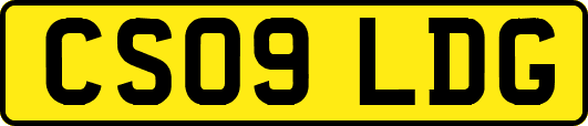 CS09LDG
