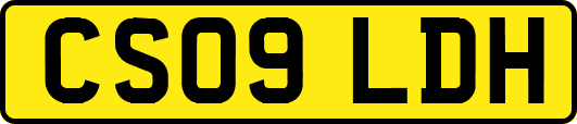 CS09LDH