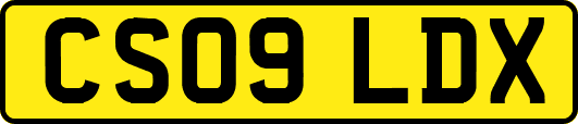 CS09LDX