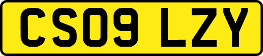 CS09LZY