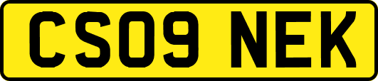 CS09NEK