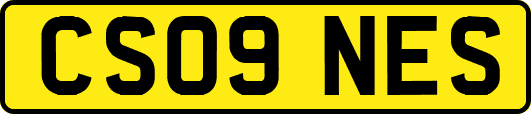 CS09NES