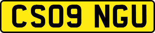 CS09NGU