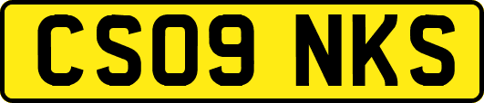 CS09NKS
