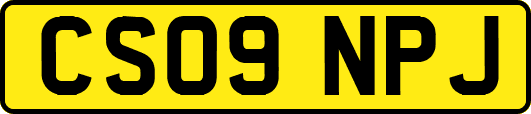 CS09NPJ