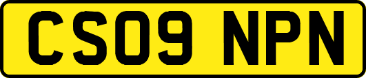 CS09NPN