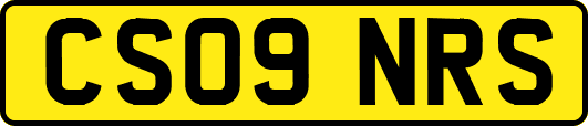 CS09NRS