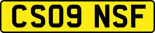 CS09NSF
