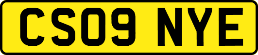 CS09NYE