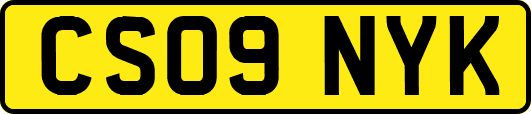 CS09NYK