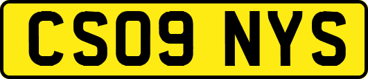 CS09NYS