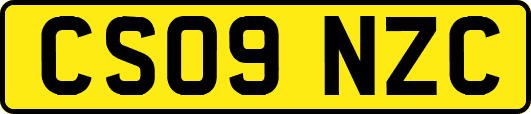 CS09NZC