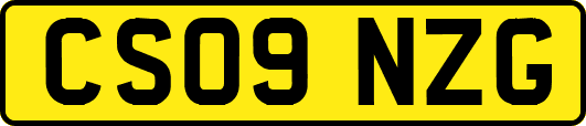 CS09NZG