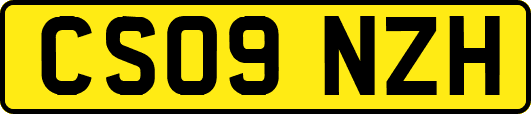 CS09NZH
