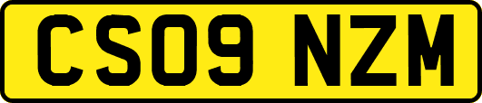 CS09NZM