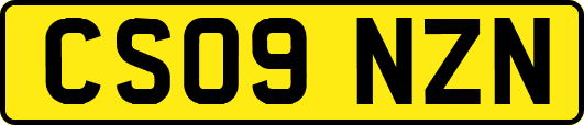 CS09NZN