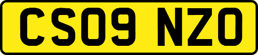 CS09NZO