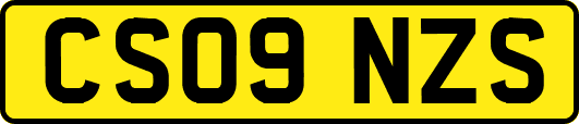 CS09NZS