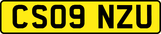 CS09NZU