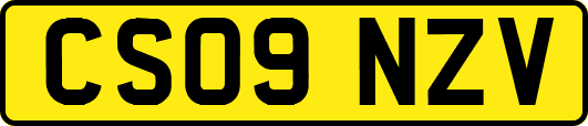 CS09NZV