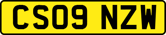 CS09NZW