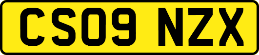 CS09NZX
