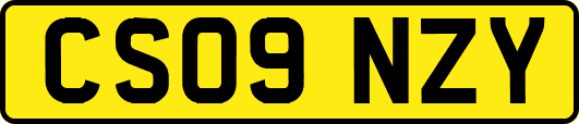 CS09NZY