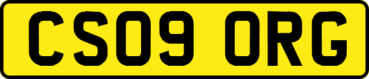 CS09ORG