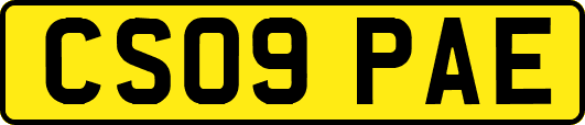 CS09PAE