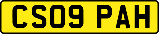 CS09PAH